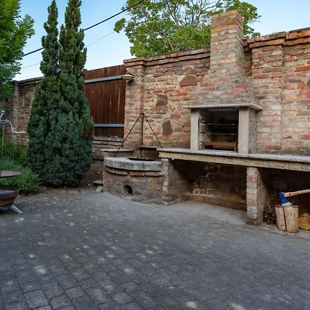 Horizon Balaton 希欧福克