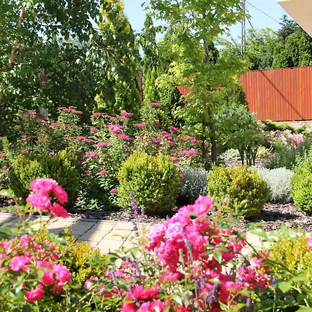 Villa Horizon Balaton *